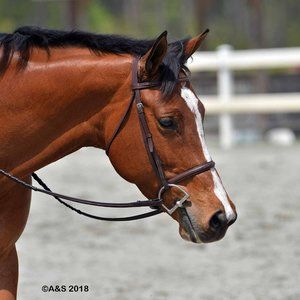 Closet Sale!!! LOW PRICES and HIGH QUALITY- fast shipping-Offers welcome🙂